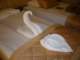 p1010386_small.jpg